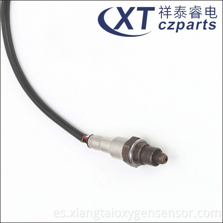 Oxygen Sensor